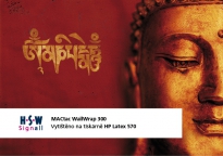 MACtac WallWrap 300