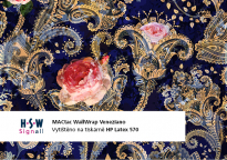 MACtac WallWrap Veneziano