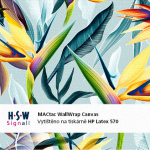 MACtac WallWrap Canvas