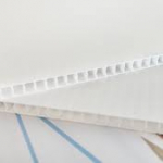 BIPRINT