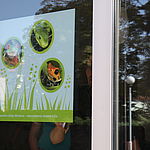 Neschen Gudy Window