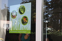 Neschen Gudy Window